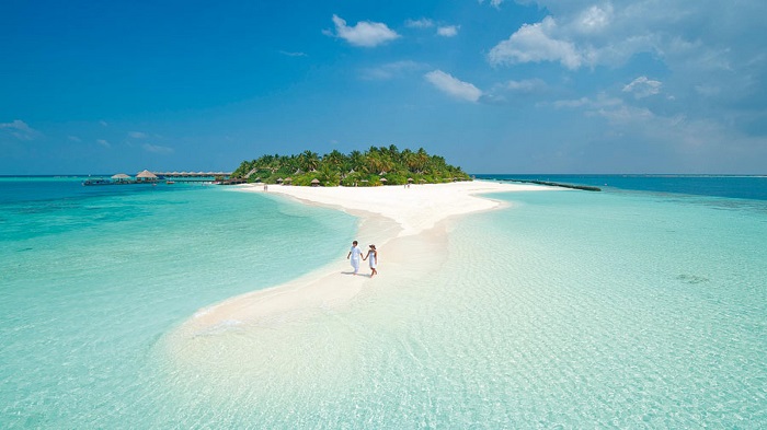Quần đảo Maldives: Nơi đây có những rạn san hô vô cùng tuyệt vời, trải dài theo bờ biển, bạn chỉ cần bước vài bước chân là có thể tha hồ ngắm san hô và những chú cá đầy màu sắc bơi lội xung quanh.